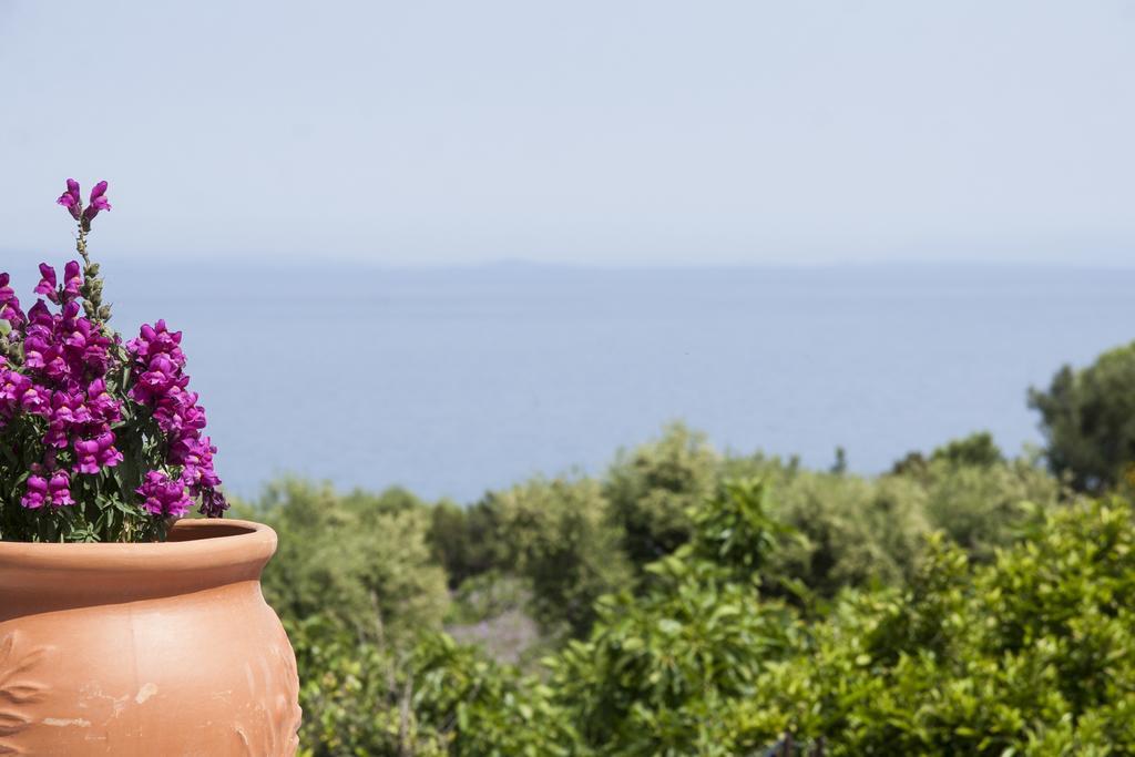 Casa Petra - Stone Cottage Farmhouses Argassi Dış mekan fotoğraf